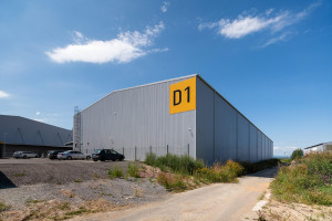 LASEK D1