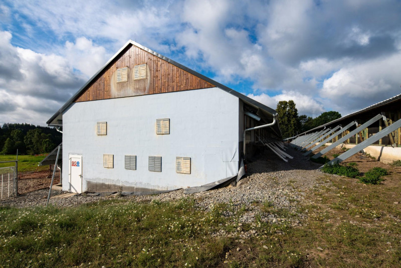 CZ001382 BIO VEJCE ROHOZNA