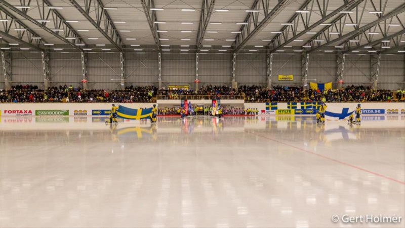4904 ALE ARENA